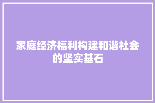 家庭经济福利构建和谐社会的坚实基石 家庭经济福利构建和谐社会的坚实基石