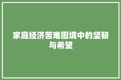 家庭经济苦难困境中的坚韧与希望 家庭经济苦难困境中的坚韧与希望