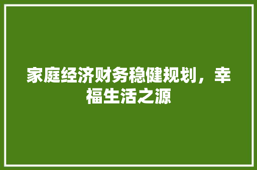 家庭经济财务稳健规划,幸福生活之源 家庭经济财务稳健规划,幸福生活之源