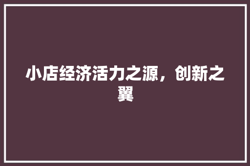 小店经济活力之源,创新之翼 小店经济活力之源,创新之翼