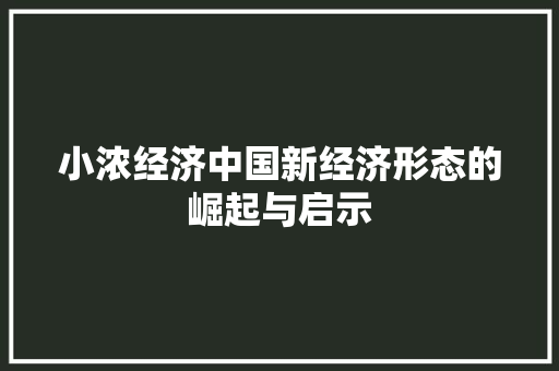 小浓经济中国新经济形态的崛起与启示 小浓经济中国新经济形态的崛起与启示