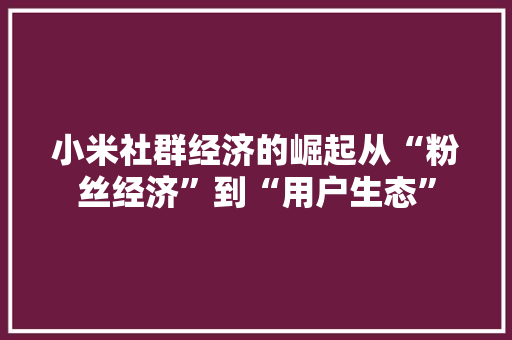 小米社群经济的崛起从“粉丝经济”到“用户生态” 小米社群经济的崛起从“粉丝经济”到“用户生态”