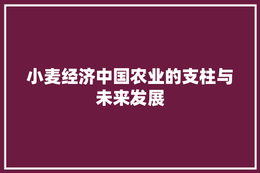 小麦经济中国农业的支柱与未来发展 小麦经济中国农业的支柱与未来发展