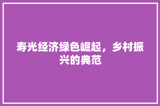 寿光经济绿色崛起,乡村振兴的典范 寿光经济绿色崛起,乡村振兴的典范