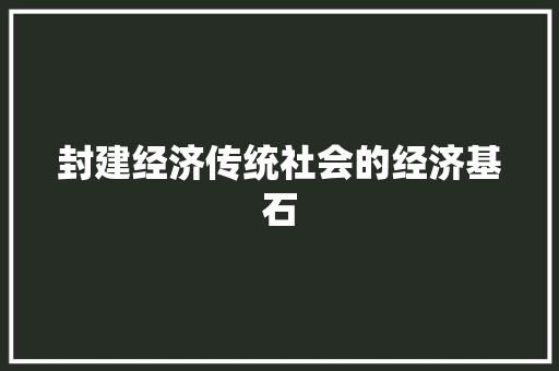 封建经济传统社会的经济基石 封建经济传统社会的经济基石