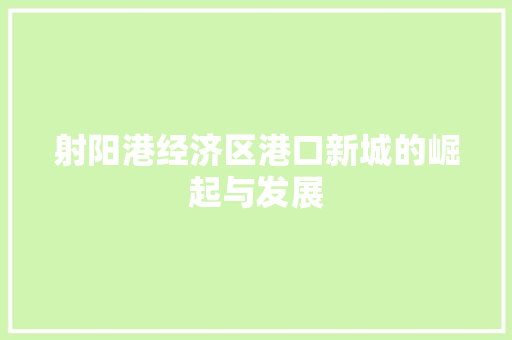 射阳港经济区港口新城的崛起与发展 射阳港经济区港口新城的崛起与发展