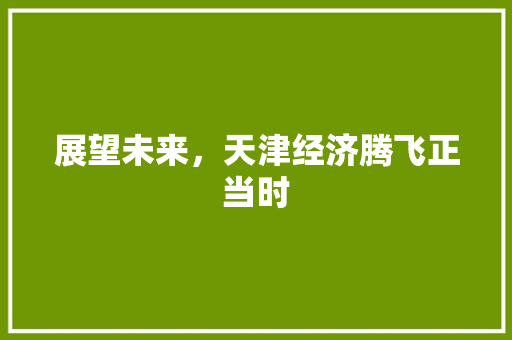 展望未来,天津经济腾飞正当时 展望未来,天津经济腾飞正当时