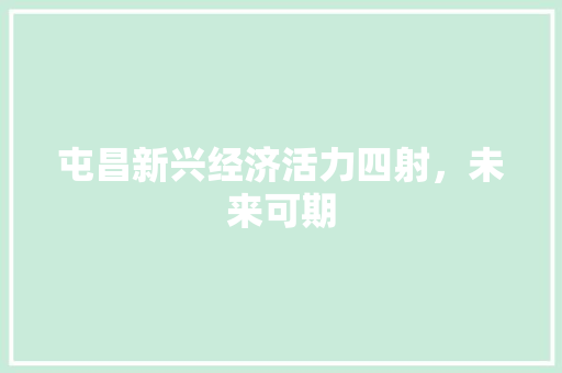 屯昌新兴经济活力四射,未来可期 屯昌新兴经济活力四射,未来可期