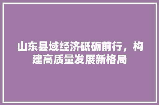 山东县域经济砥砺前行,构建高质量发展新格局 山东县域经济砥砺前行,构建高质量发展新格局