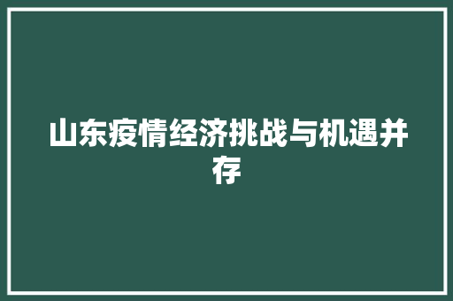 山东疫情经济挑战与机遇并存 山东疫情经济挑战与机遇并存