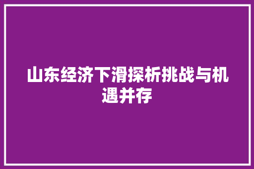 山东经济下滑探析挑战与机遇并存
