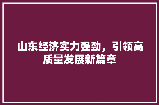 山东经济实力强劲,引领高质量发展新篇章 山东经济实力强劲,引领高质量发展新篇章