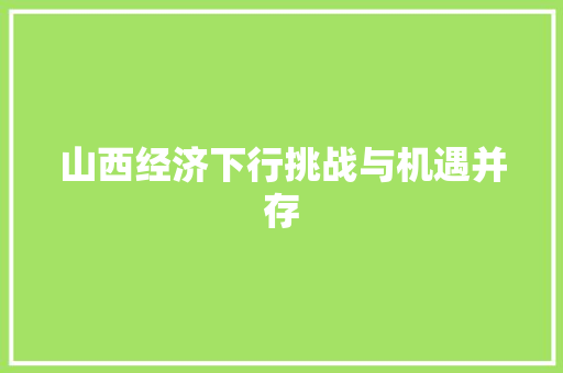 山西经济下行挑战与机遇并存