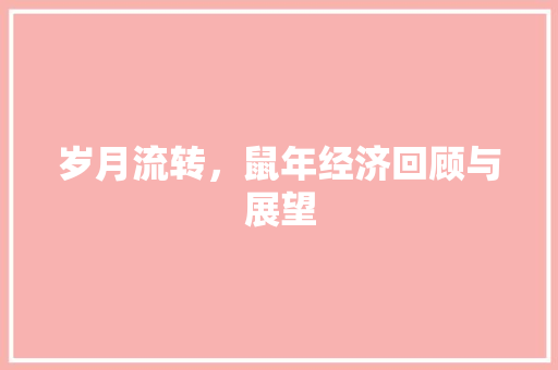 岁月流转,鼠年经济回顾与展望 岁月流转,鼠年经济回顾与展望