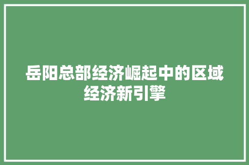 岳阳总部经济崛起中的区域经济新引擎 岳阳总部经济崛起中的区域经济新引擎