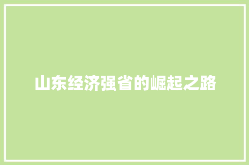山东经济强省的崛起之路 山东经济强省的崛起之路