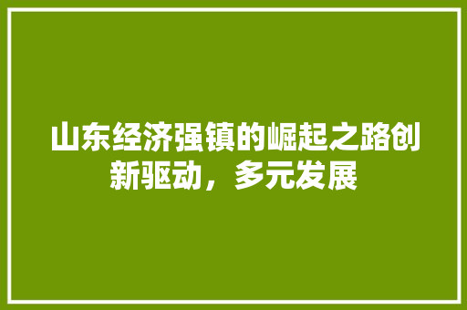 山东经济强镇的崛起之路创新驱动,多元发展 山东经济强镇的崛起之路创新驱动,多元发展
