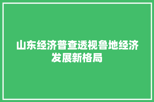 山东经济普查透视鲁地经济发展新格局