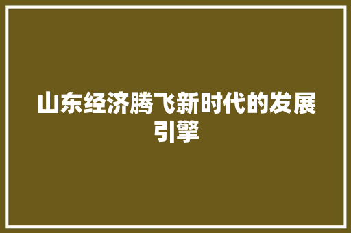 山东经济腾飞新时代的发展引擎 山东经济腾飞新时代的发展引擎