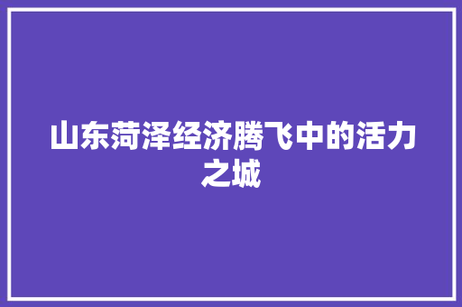 山东菏泽经济腾飞中的活力之城 山东菏泽经济腾飞中的活力之城