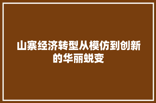 山寨经济转型从模仿到创新的华丽蜕变 山寨经济转型从模仿到创新的华丽蜕变