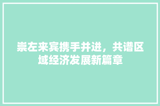 崇左来宾携手并进,共谱区域经济发展新篇章 崇左来宾携手并进,共谱区域经济发展新篇章