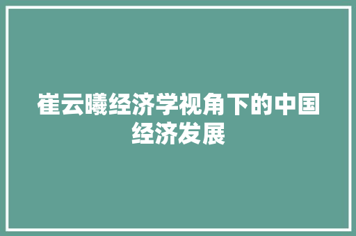 崔云曦经济学视角下的中国经济发展 崔云曦经济学视角下的中国经济发展