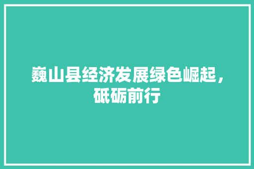 巍山县经济发展绿色崛起,砥砺前行 巍山县经济发展绿色崛起,砥砺前行