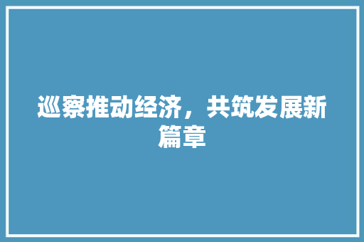 巡察推动经济,共筑发展新篇章 巡察推动经济,共筑发展新篇章